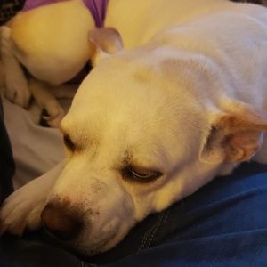 Meet your Posher, Samara